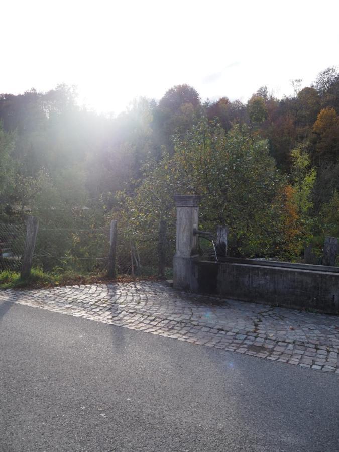 Ferienwohnung Dinkelbergblick Wehr  Exteriör bild